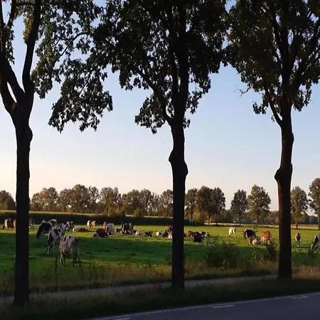 Σπίτι διακοπών Eco In Latour By Scenic Pond Oirschot