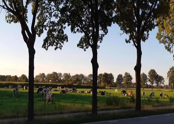 Σπίτι διακοπών Eco In Latour By Scenic Pond Oirschot