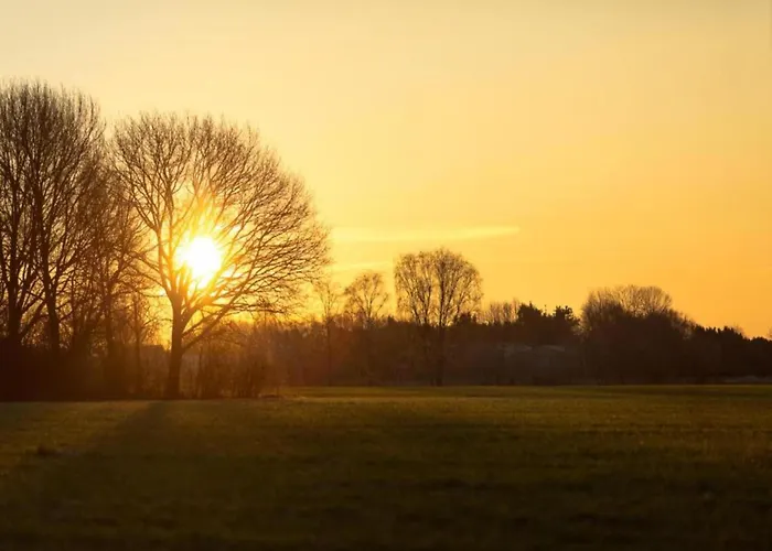 Eco In Latour By Scenic Pond Oirschot