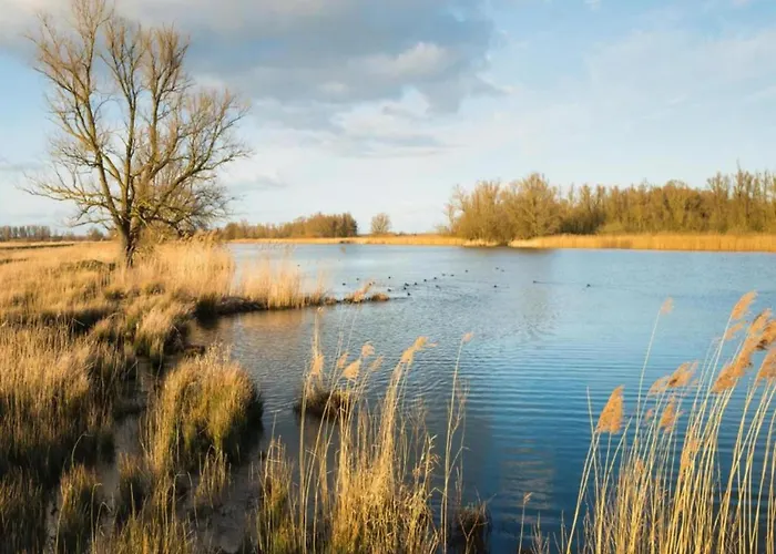 Eco In Latour By Scenic Pond